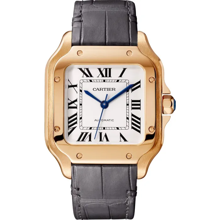 Watches Cartier Santos de Cartier watch WGSA0031