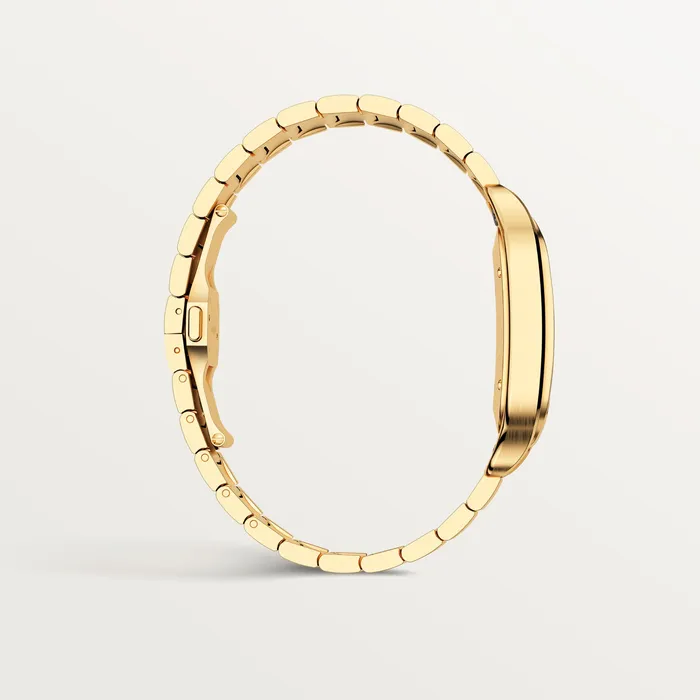Watches Santos de Cartier watch CRWGSA0029 Cartier